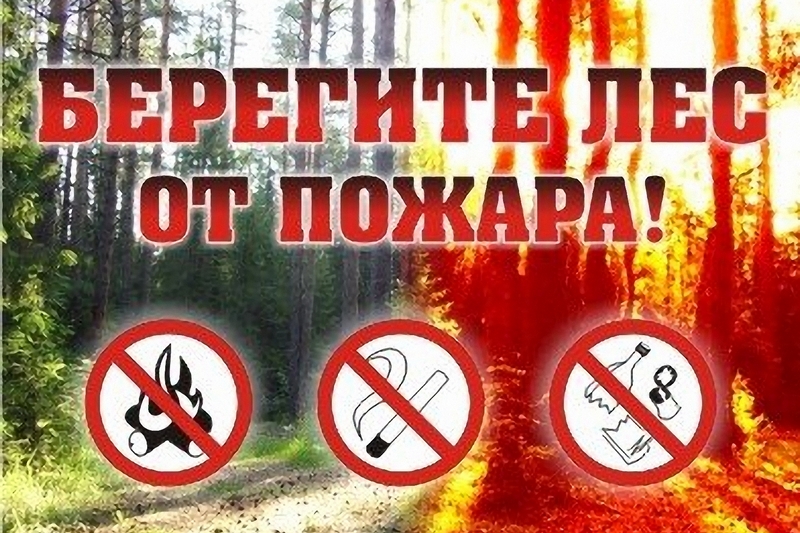 ВО ИЗБЕЖАНИЕ ПОЖАРОВ В ЛЕСАХ.
