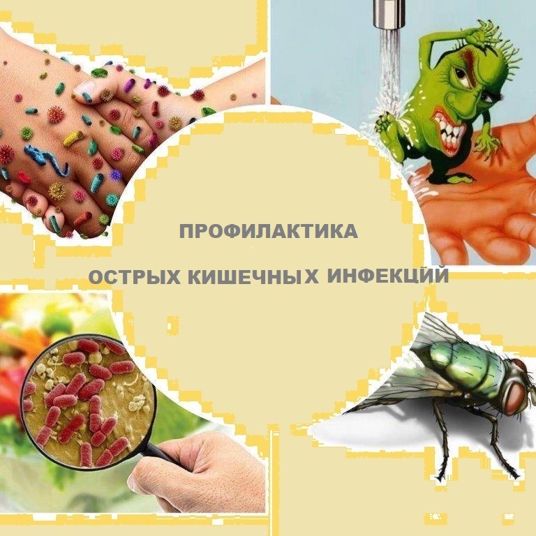 ПРОФИЛАКТИКА ОСТРЫХ КИШЕЧНЫХ ИНФЕКЦИЙ.