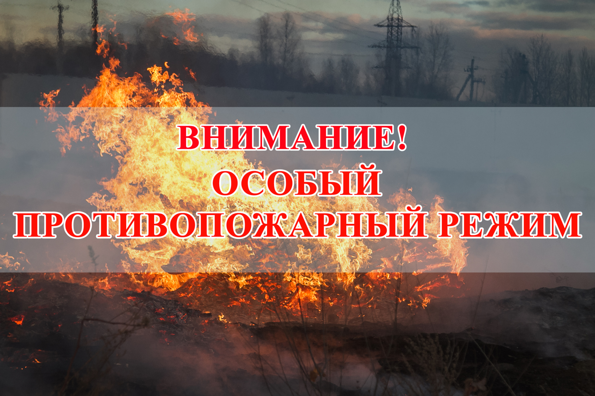 В Лемпино с 28 апреля вводится противопожарный режим.