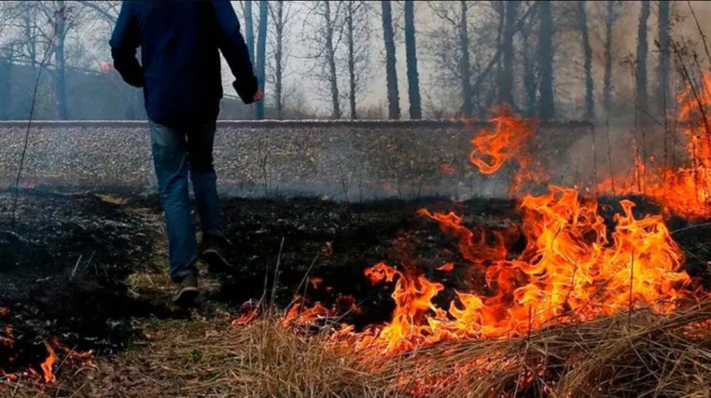 В Югре сообщившие о виновниках природных пожаров будут получать по 20 тыс. рублей.