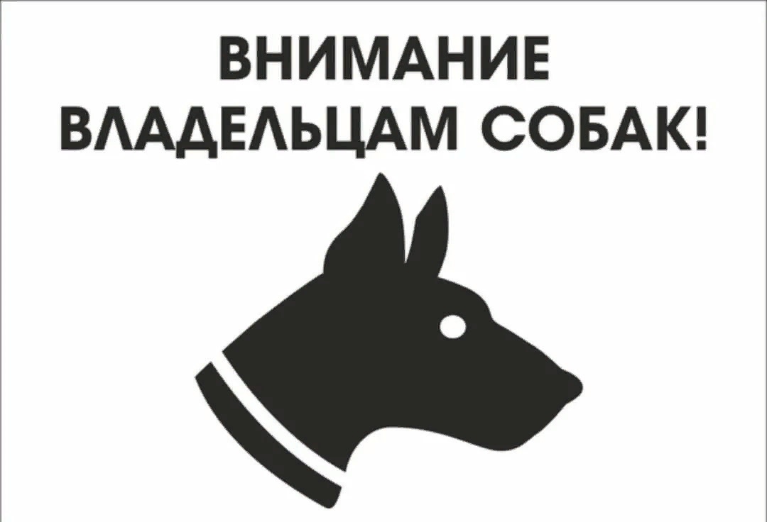 Информирование граждан об обязанностях владельцев домашних животных, адресах государственных ветеринарных клиник и отлове животных без владельцев/ без надзора.